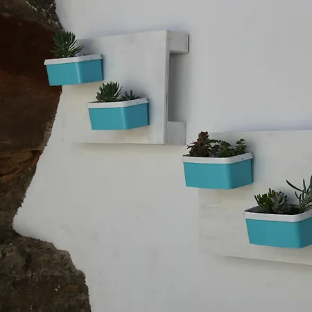 Apartament Halley *